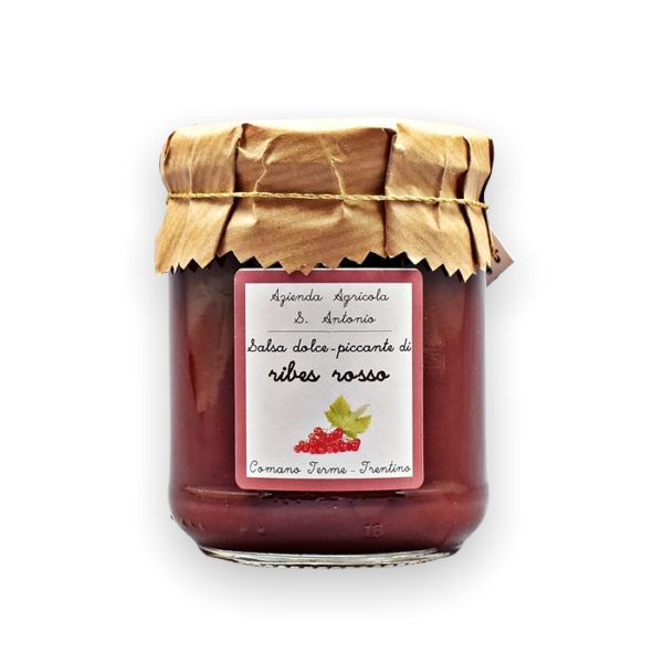 salsa dolce piccante ribes