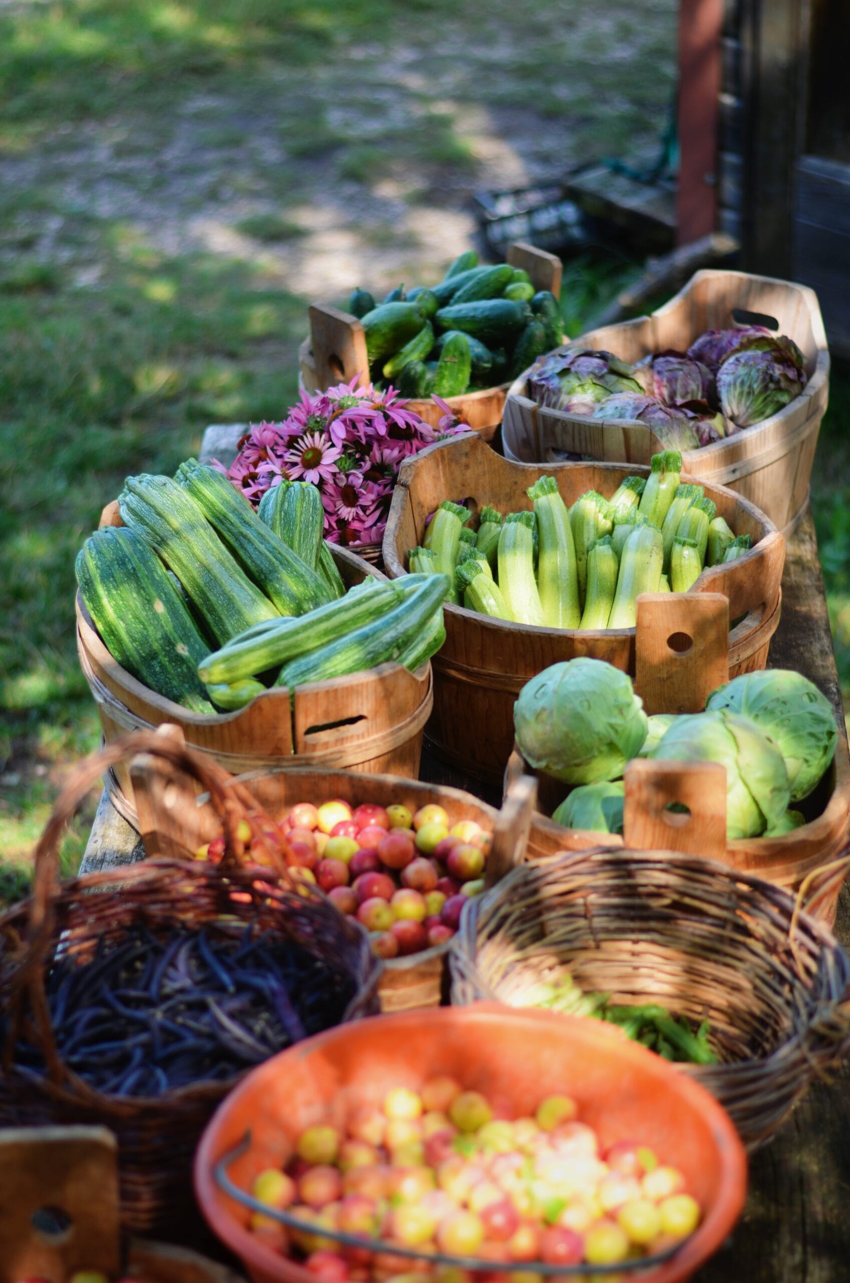 frutti rossi dell'azienda agricola san antonio