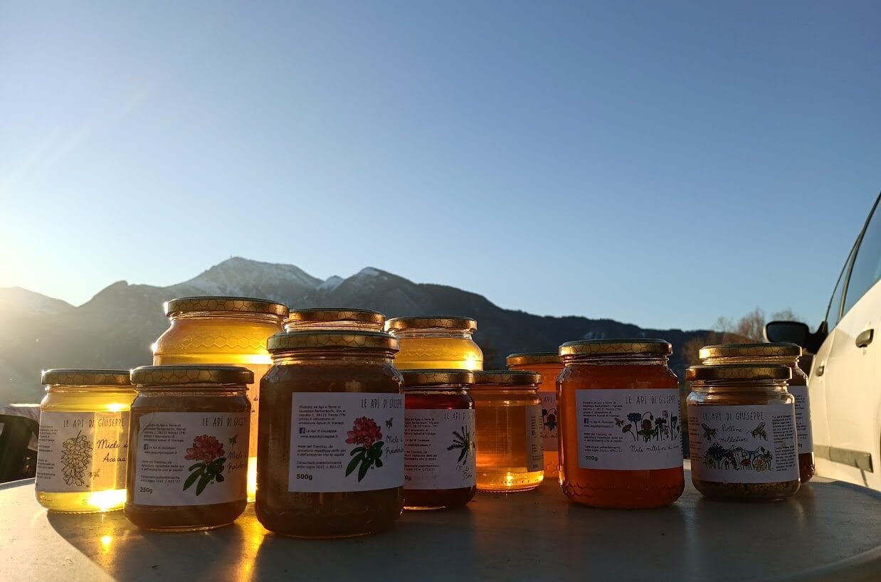 frutti rossi dell'azienda agricola san antonio