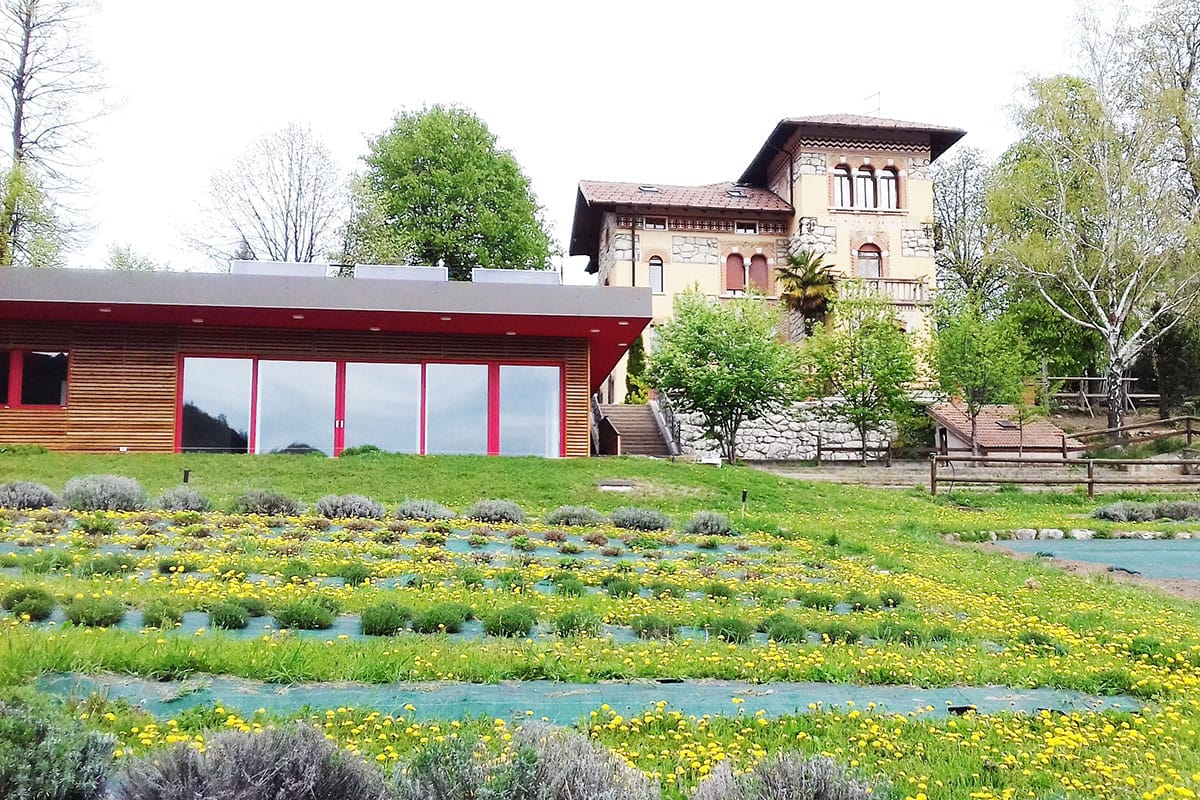 vendemmia azienda agricola g a manci