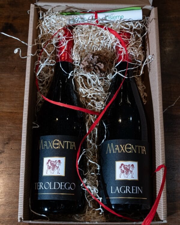 Brindisi — due vini trentini